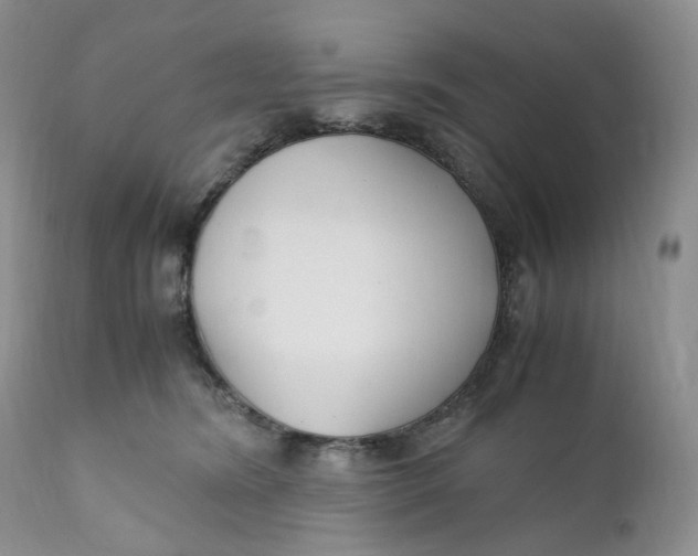 X0000110770420200907061123