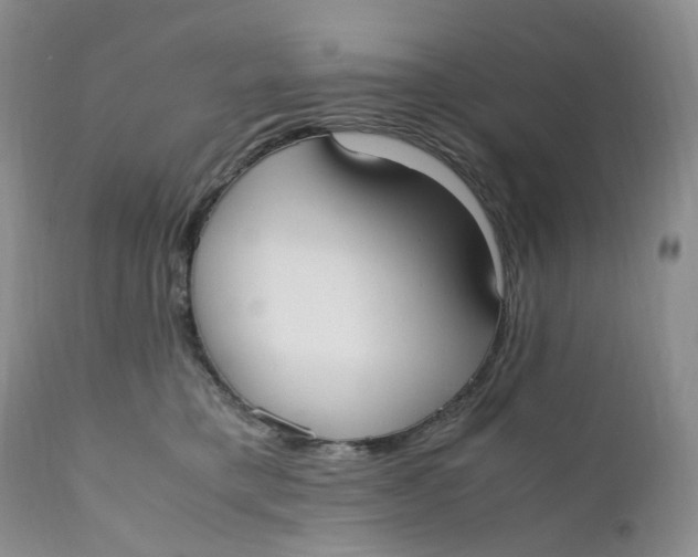 X0000110770421200907061123