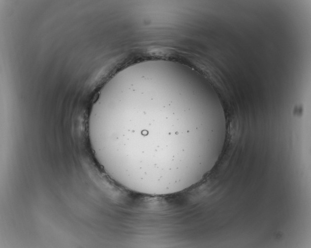 X0000110770424200907061123