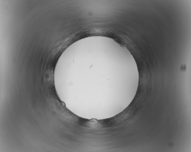 X0000110770425200907061123