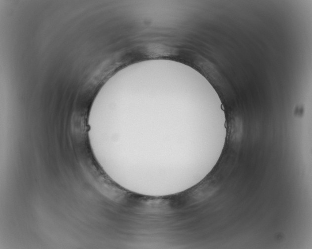 X0000110770426200907061123