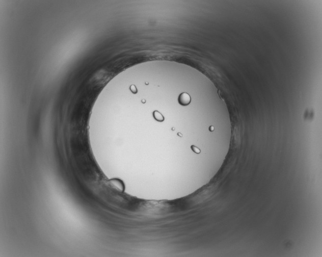 X0000110770429200907061123