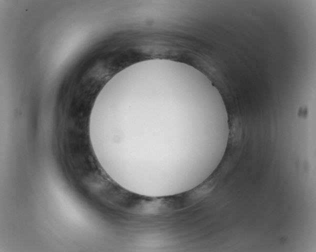 X0000110770430200907061123