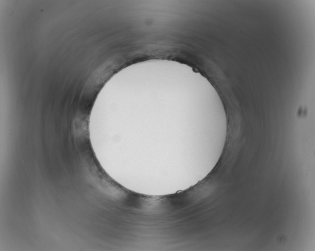 X0000110770432200907061123