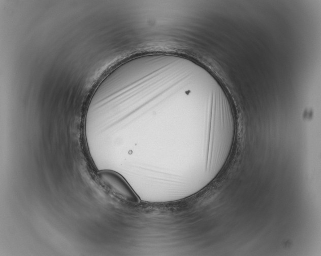 X0000110770434200907061122