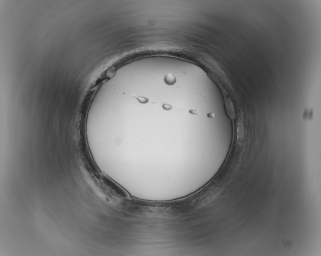 X0000110770436200907061122