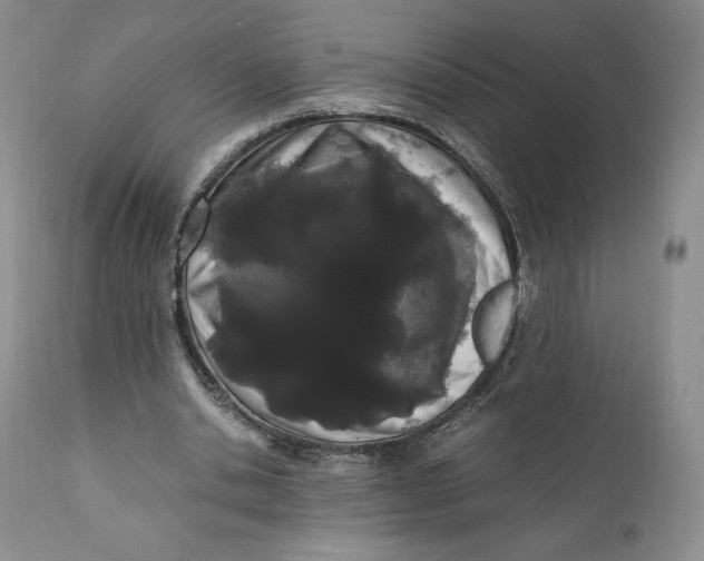 X0000110770438200907061122