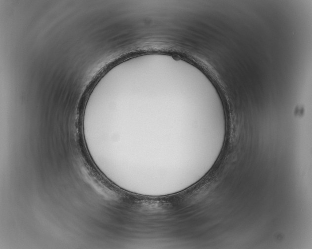 X0000110770439200907061122