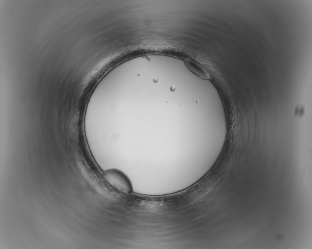 X0000110770440200907061122