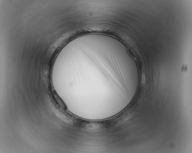 X0000110770444200907061122