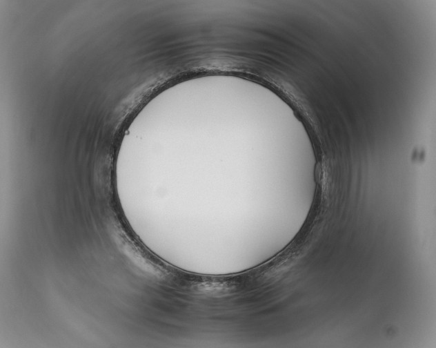 X0000110770445200907061122