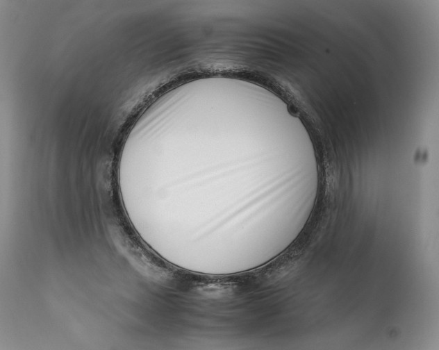 X0000110770447200907061122