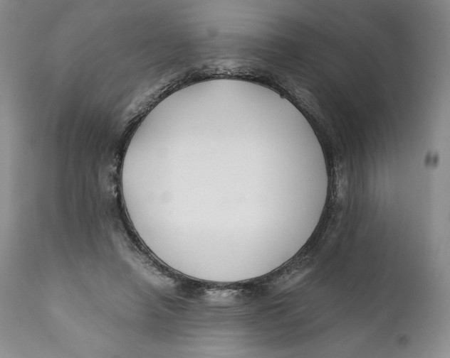 X0000110770450200907061122