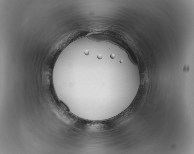 X0000110770452200907061122