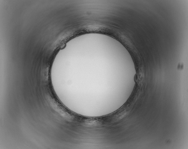 X0000110770454200907061122