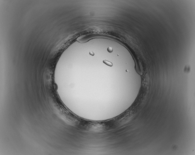 X0000110770456200907061122