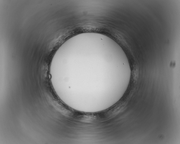 X0000110770458200907061122