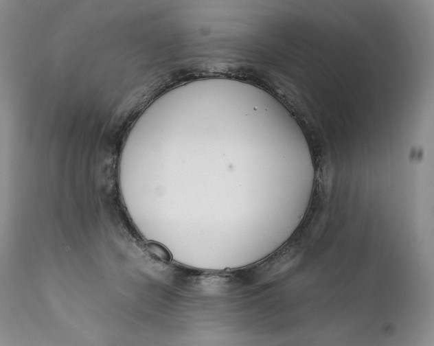 X0000110770462200907061123