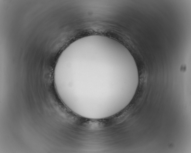 X0000110770464200907061123