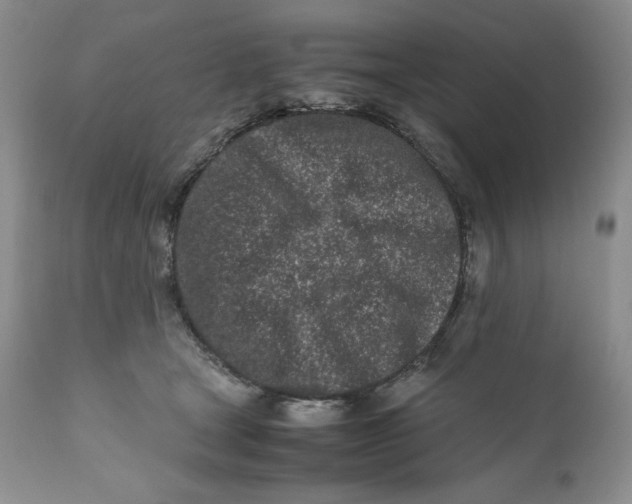 X0000110770465200907061123