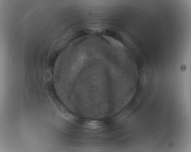 X0000110770467200907061123