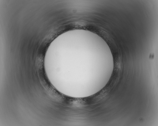 X0000110770468200907061123