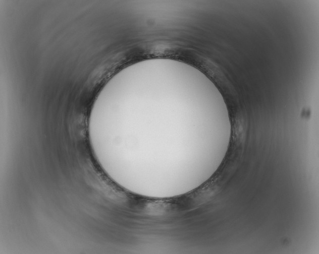 X0000110770470200907061123