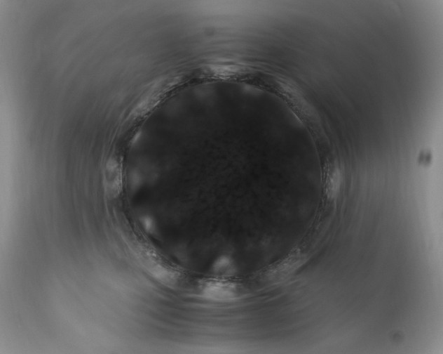 X0000110770471200907061123