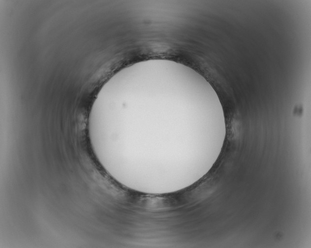 X0000110770472200907061123