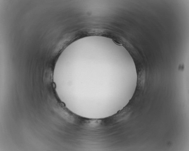 X0000110770474200907061123