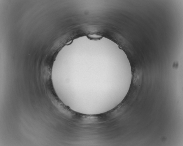 X0000110770476200907061123