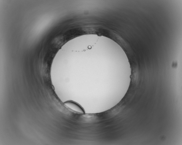 X0000110770477200907061123