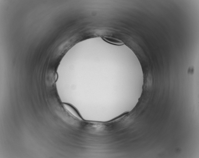 X0000110770478200907061123