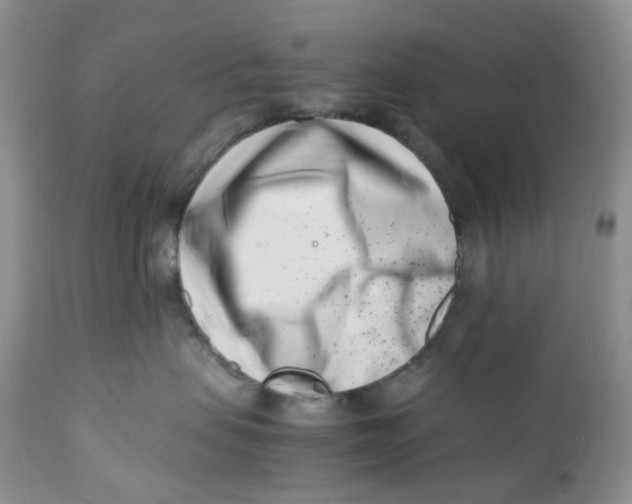 X0000110770479200907061123