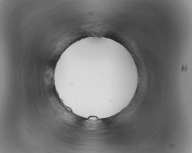 X0000110770480200907061123