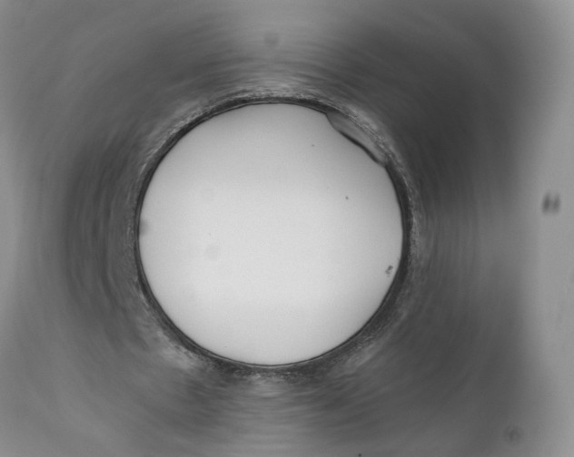 X0000110770481200907061122