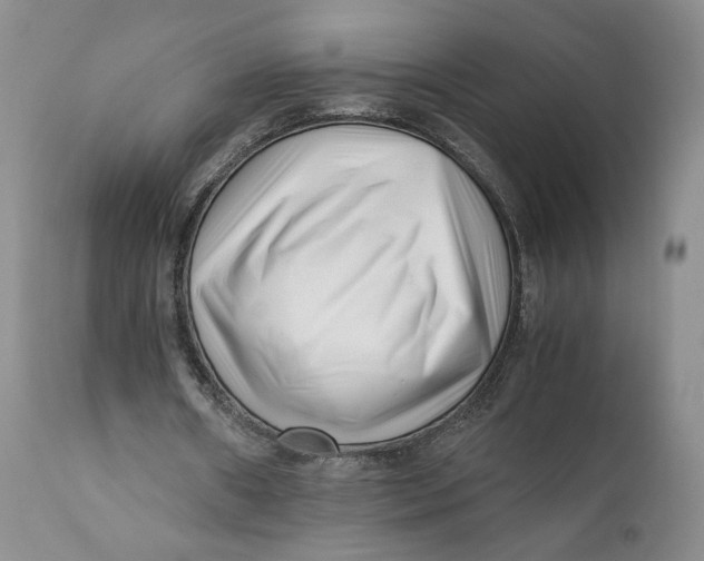 X0000110770482200907061122