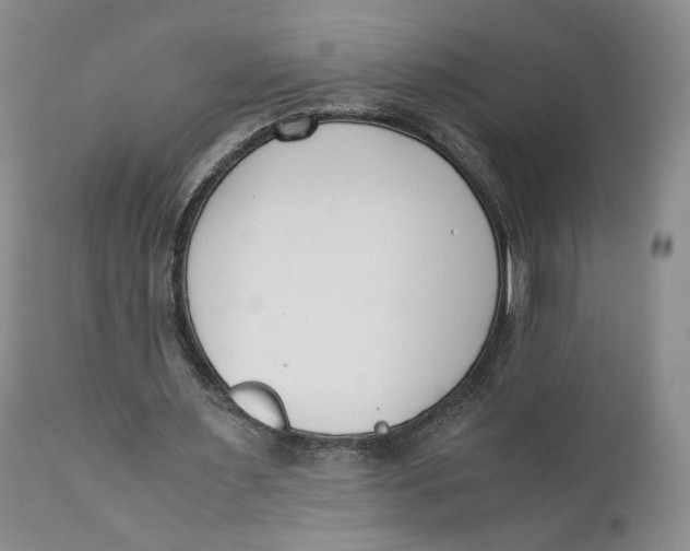 X0000110770483200907061122