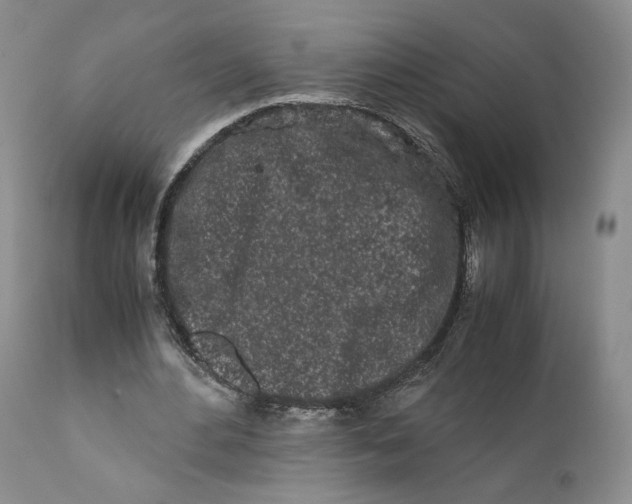 X0000110770484200907061122