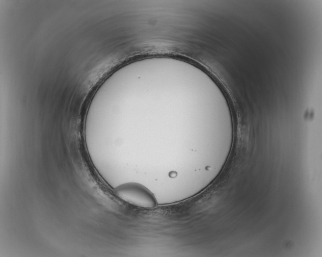 X0000110770485200907061122