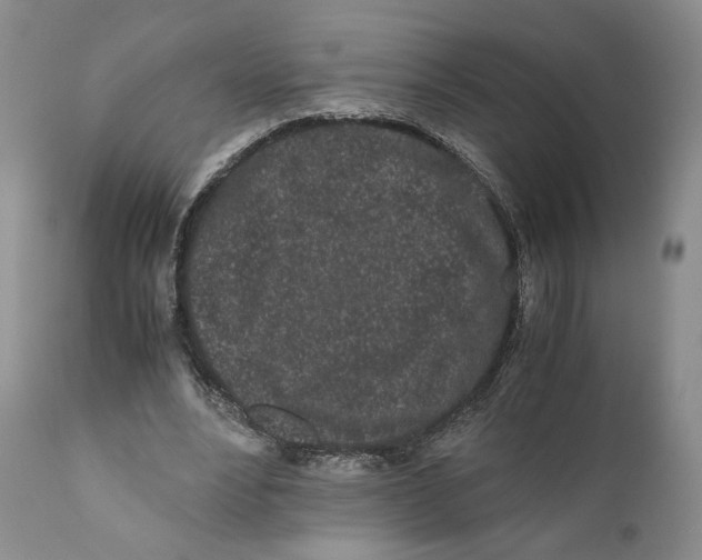 X0000110770488200907061122