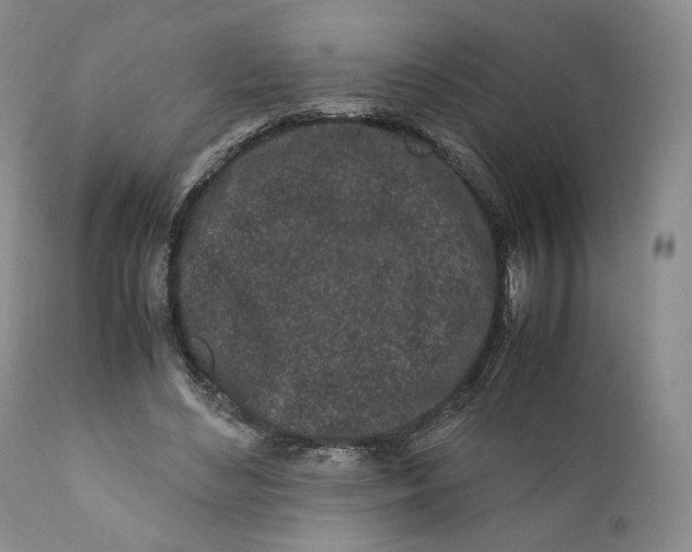 X0000110770492200907061122