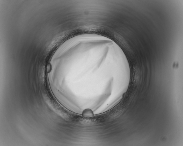 X0000110770494200907061122