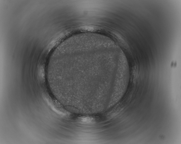 X0000110770500200907061122