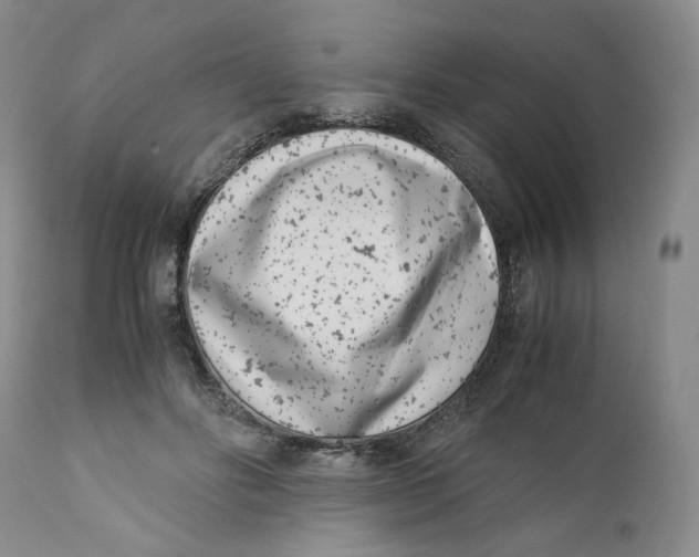 X0000110770502200907061122