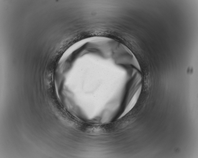 X0000110770503200907061122