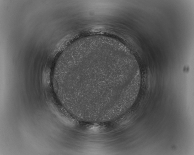 X0000110770504200907061122