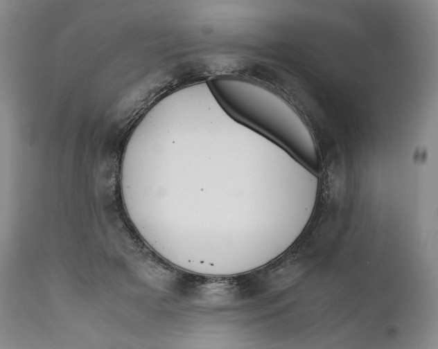 X0000110770505200907061122