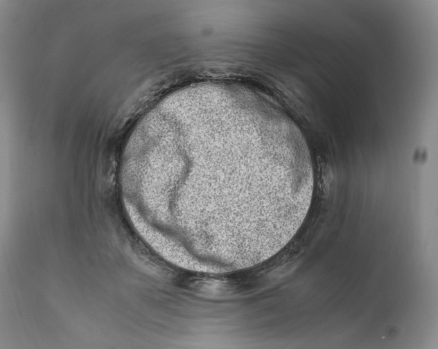 X0000110770507200907061122