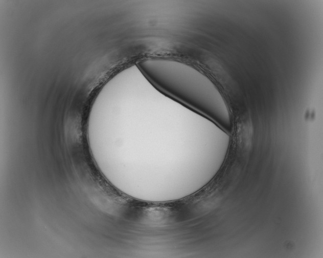 X0000110770508200907061122